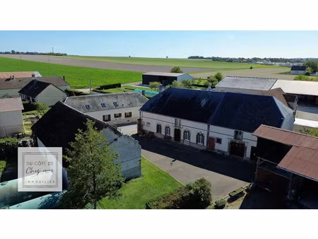 vente maison 7 pièces 243 m² à prunay-belleville (10350)  257 000 €