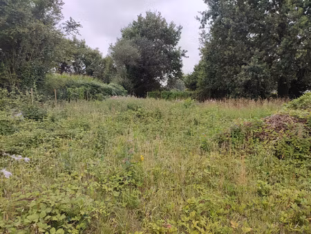 vente terrain 1720 m² lanrelas (22250)