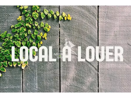 location local industriel 50 m² à dinan (22100)