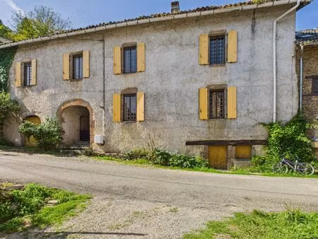 charmante maison de village avec terrasse et jardin près de la rivière viaur
