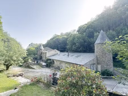 maison de prestige de 375 m2 en vente massaguel  france