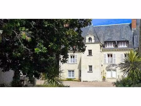 maison avec terrasse beaumont-en-veron (37)