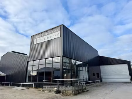 local commercial showroom bureaux à louer 370 m2 theix