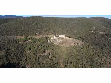 maison avec piscine et jardin monoblet (30)
