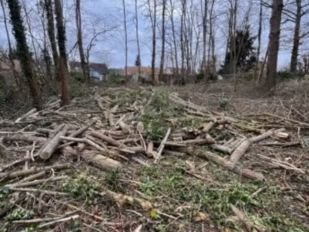 vente terrain à bâtir 1 026 m²