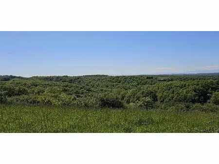 vente terrain 2252 m² ordan-larroque (32350)