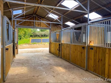 ecurie et terrain constructible