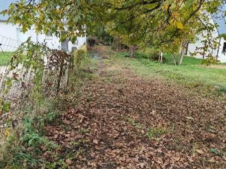 vente terrain 161 m² lussault-sur-loire (37400)