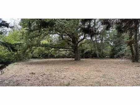 terrain montfort-l’amaury (78)