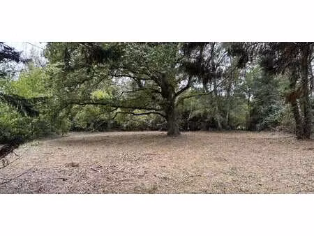 terrain montfort-l'amaury (78)