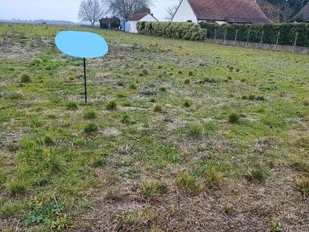 vente terrain 2623 m² chapelon (45270)