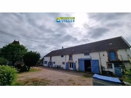 maison viager occupé à loddes