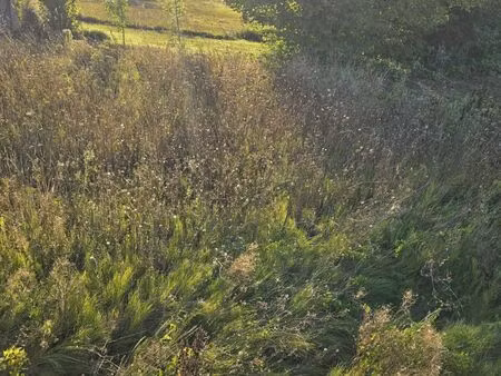 vente terrain 222 m² dormans (51700)
