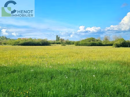 vente terrain 20000 m² domgermain (54119)