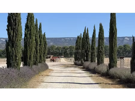 vente maison 5 pièces 90 m² à mallemort (13370)  1 990 000 €