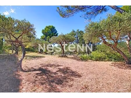 à vendre ! salernes ! terrain constructible de 1 680 m² clos avec oliviers