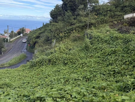 à vendre terrain à bâtir à la chaloupe saint-leu 420 m2