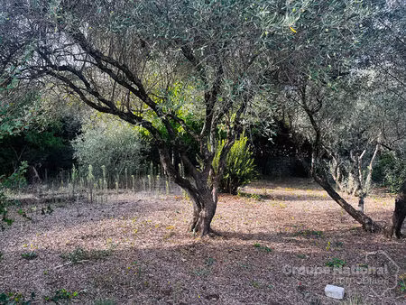terrain à batir de 360m2 à goudargues