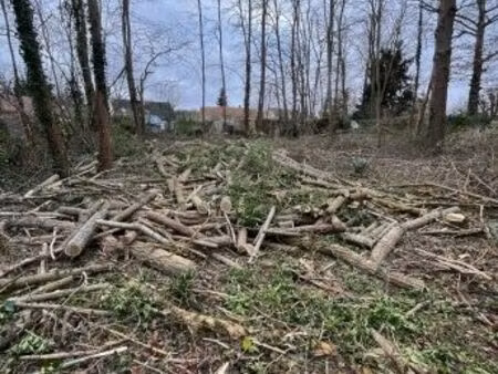 vente terrain 1026 m² larchant (77760)