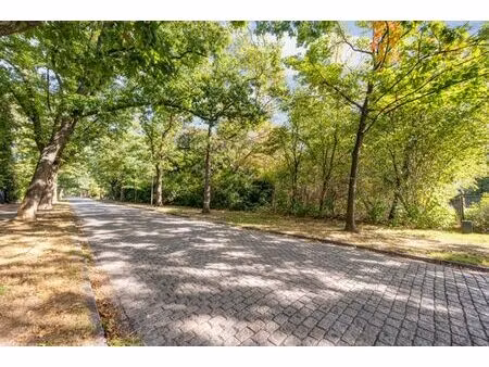 brasschaat - terrain à bâtir