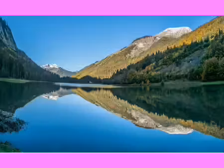 vente appartement 3 pièces 74 m² à montriond (74110)  610 000 €