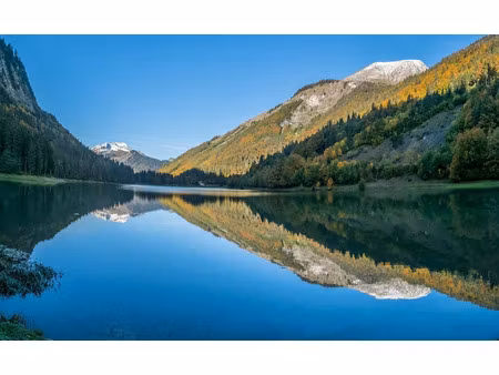 vente appartement 3 pièces 74 m² à montriond (74110)  589 000 €