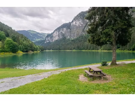 vente appartement 4 pièces 87 m² à montriond (74110)  644 000 €