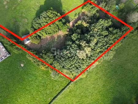 terrain de 5083 m² et ses dépendances à quarré-les-tombes