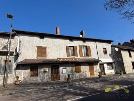 vente immeuble 910 m² sauviat-sur-vige (87400)