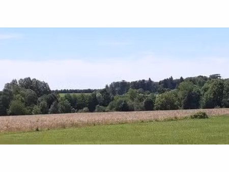 vente terrain 1335 m² à machy (10320)  31 800 €