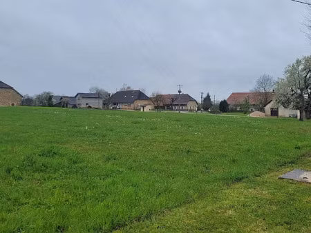 vente terrain 1000 m² à rumilly-lès-vaudes (10260)  45 500 €