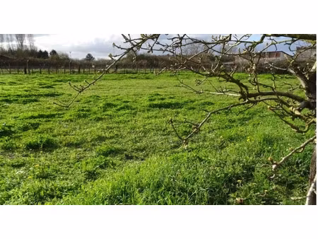 vente terrain 795 m² à saint-benoist-sur-vanne (10160)  15 000 €