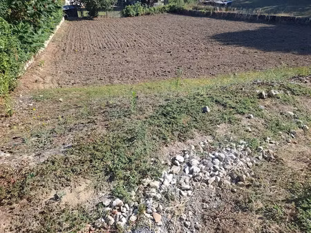 vente terrain à batir 1118 m² à aiguefonde (81200)  40 000 €