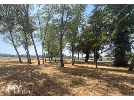 vente terrain à batir 1500 m² à mouliets-et-villemartin (33350)  45 000 €
