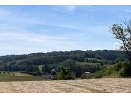 vente terrain 1400 m² à villemoiron-en-othe (10160)  23 500 €