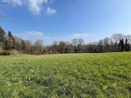 vente terrain 1535 m² royères (87400)