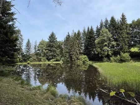 vente maison moissannes (87400)