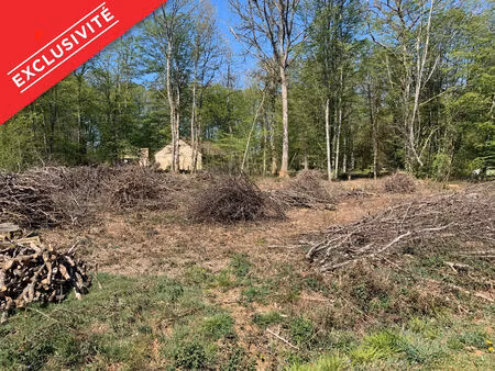 vente terrain 1982 m² saint-fargeau (89170)