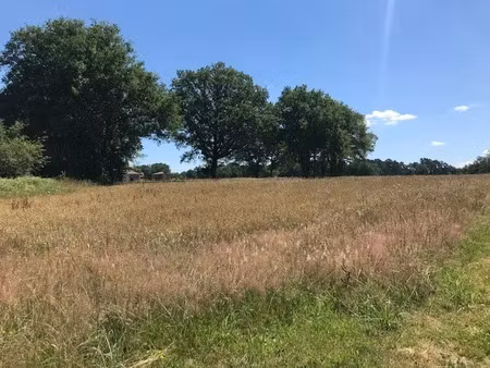 vente terrain 2700 m² à auxon (10130)  38 000 €