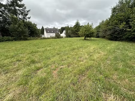 vente terrain 598 m² à camors (56330)  57 050 €