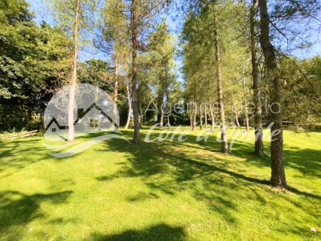 terrain à bâtir arboré