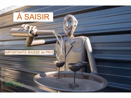 vente locaux professionnels 300 m² à saint-nabord (88200)  99 000 €