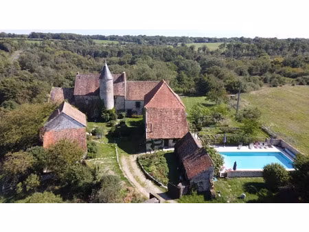vente château 11 pièces 197 m² à brigueil-le-chantre (86290)  899 950 €