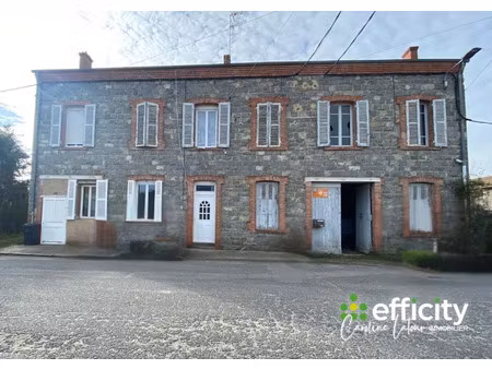 vente immeuble 223 m² à sail-sous-couzan (42890)  139 000 €