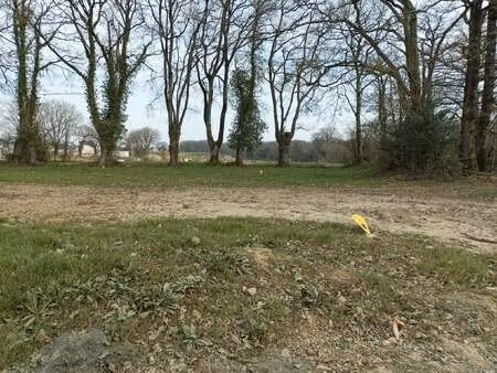 vente terrain à fontaine-milon (49140) : à vendre / fontaine-milon