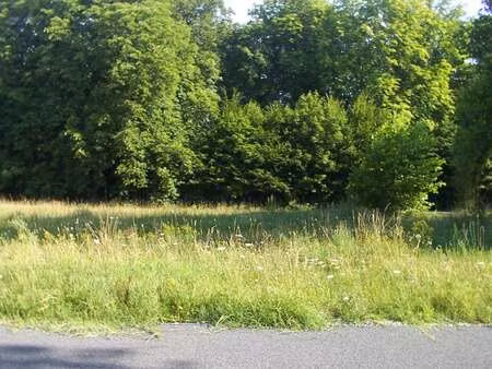 vente terrain à saint-augustin-des-bois (49170) : à vendre / saint-augustin-des-bois