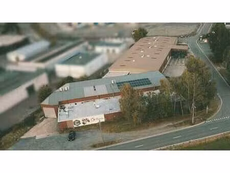 immeuble semi-industriel polyvalent très bien situé