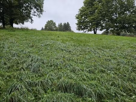 terrain constructible à vendre