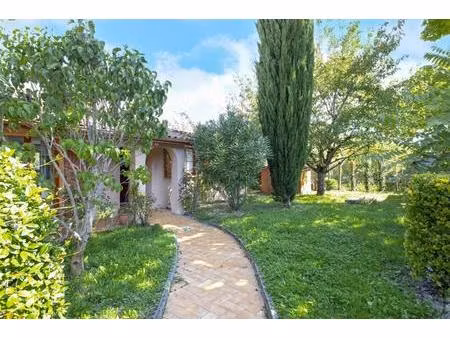 maison montrabe centre