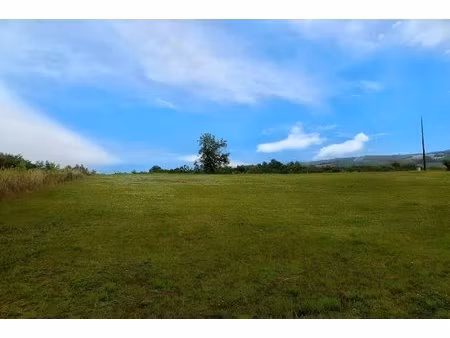 terrain constructible